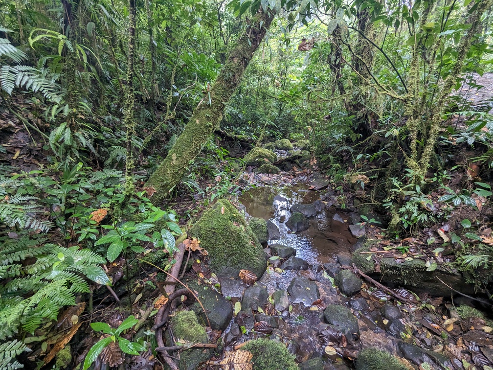 Parc Monteverde