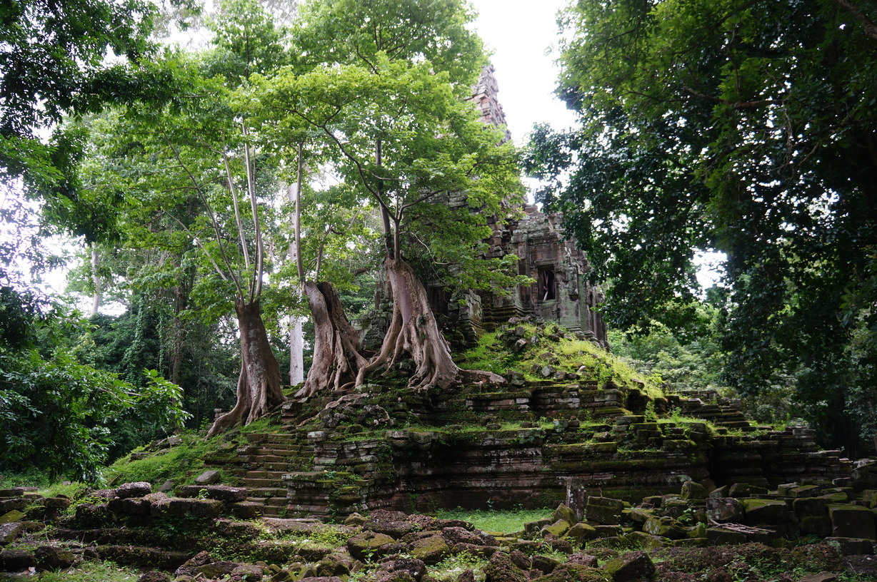 Siem Reap et les temples d'Angkor au Cambodge 