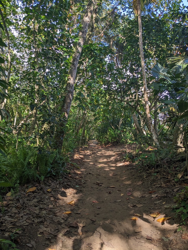 Le parc de Cahuita au Costa Rica
