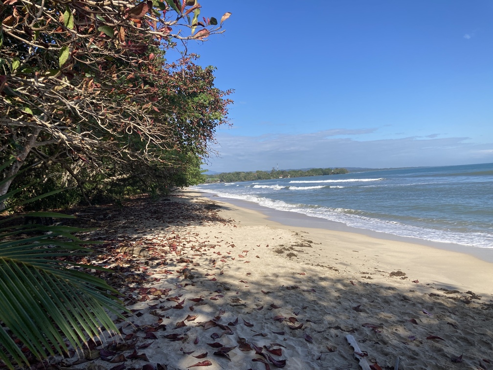 Le parc de Cahuita au Costa Rica