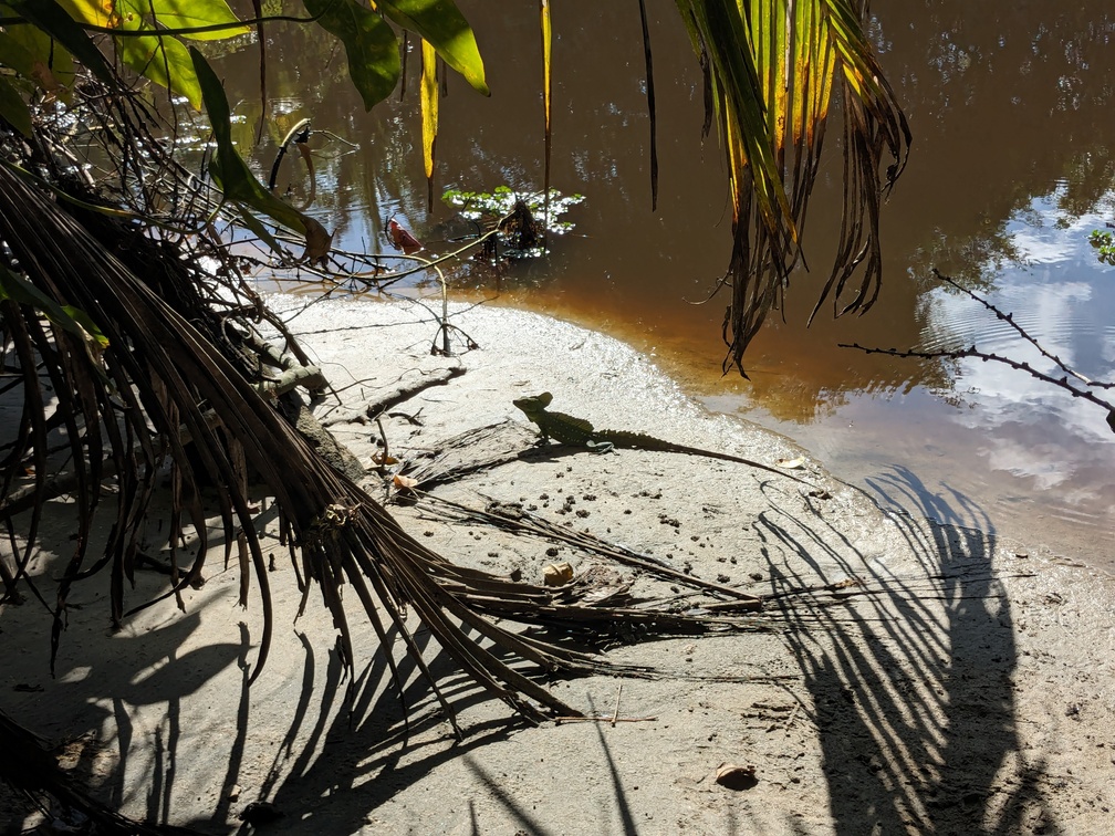 Le parc de Cahuita au Costa Rica