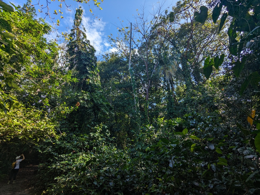 Le parc de Cahuita au Costa Rica