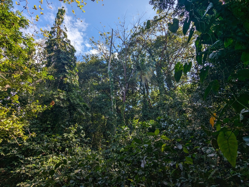 Le parc de Cahuita au Costa Rica