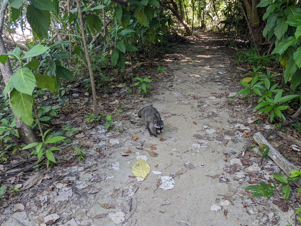 Le parc de Cahuita au Costa Rica