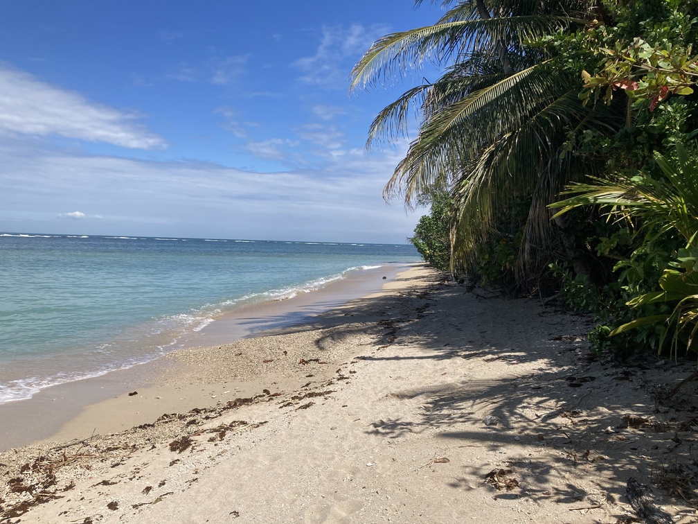 Le parc de Cahuita au Costa Rica