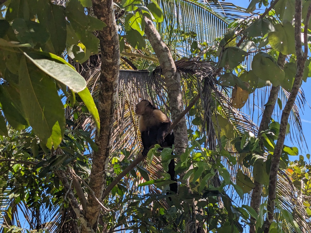 Le parc de Cahuita au Costa Rica