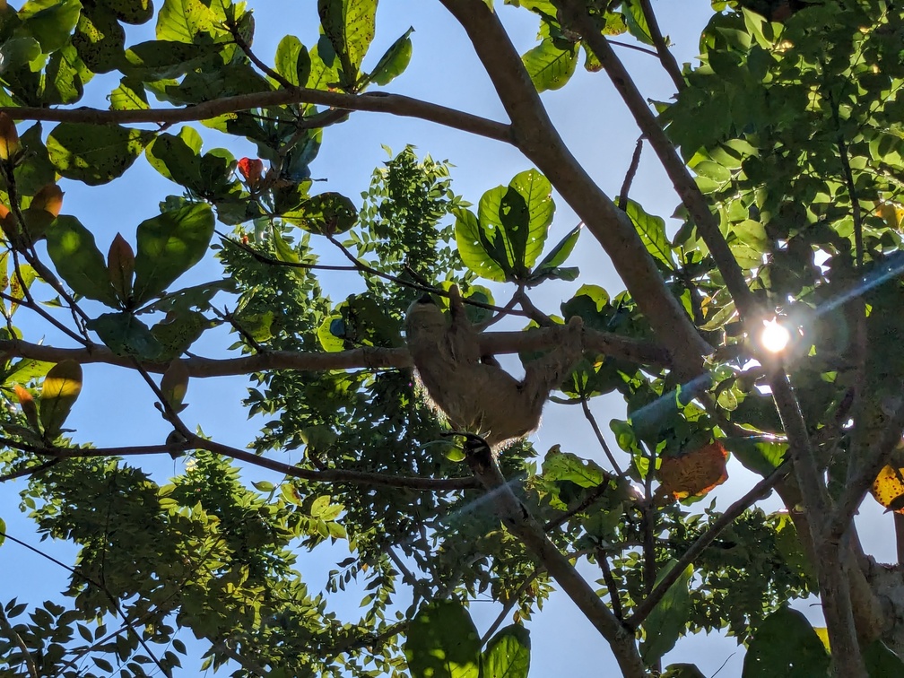 Le parc de Cahuita au Costa Rica