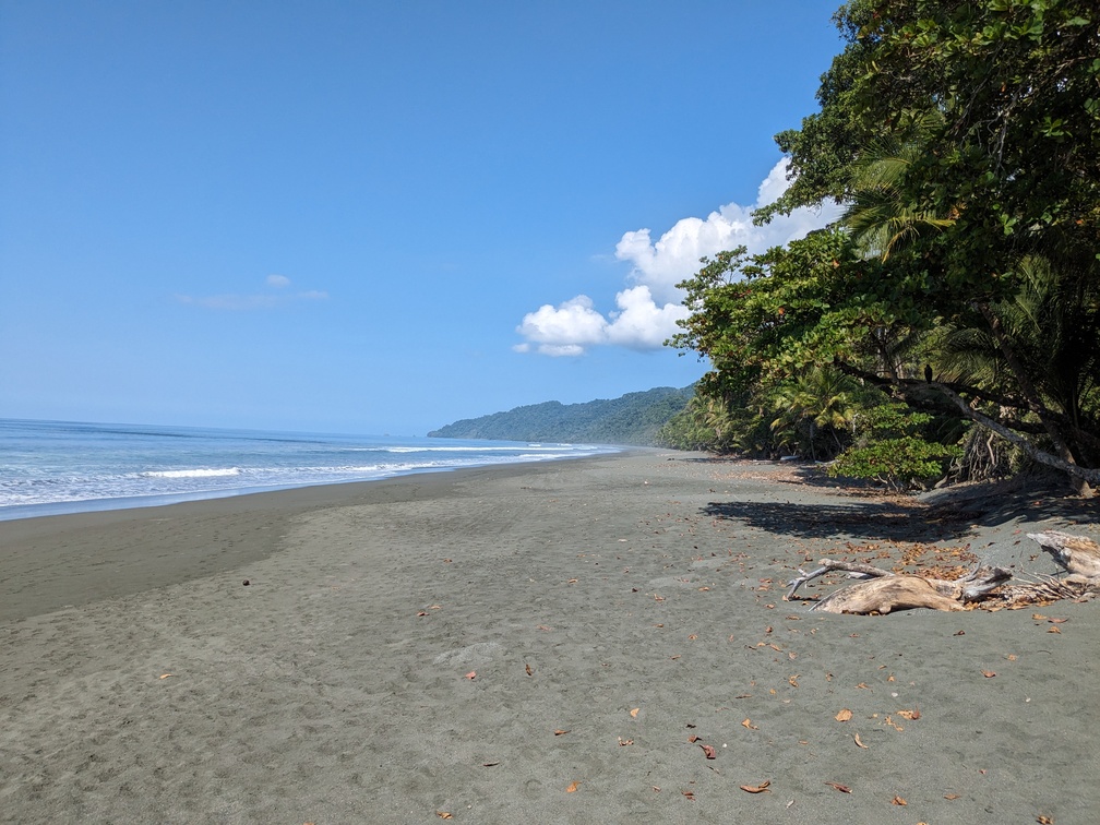 Parc Corcovado au Costa Rica