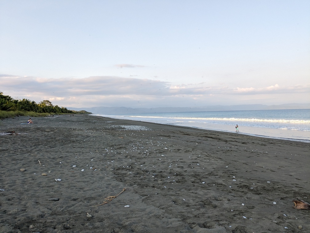 Parc Corcovado au Costa Rica