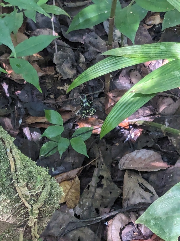 Parc Manuel Antonio