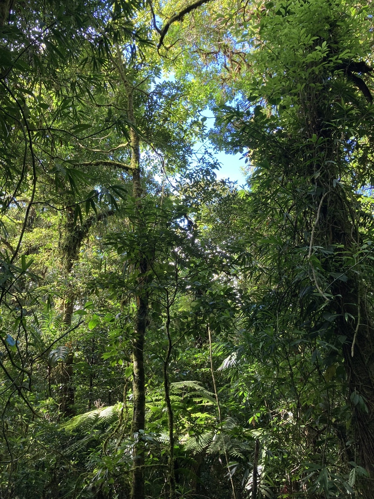 Parc Monteverde