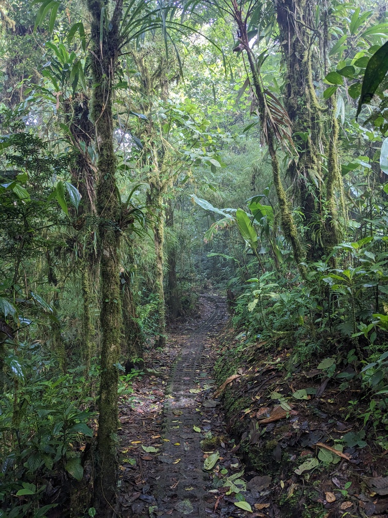 Parc Monteverde