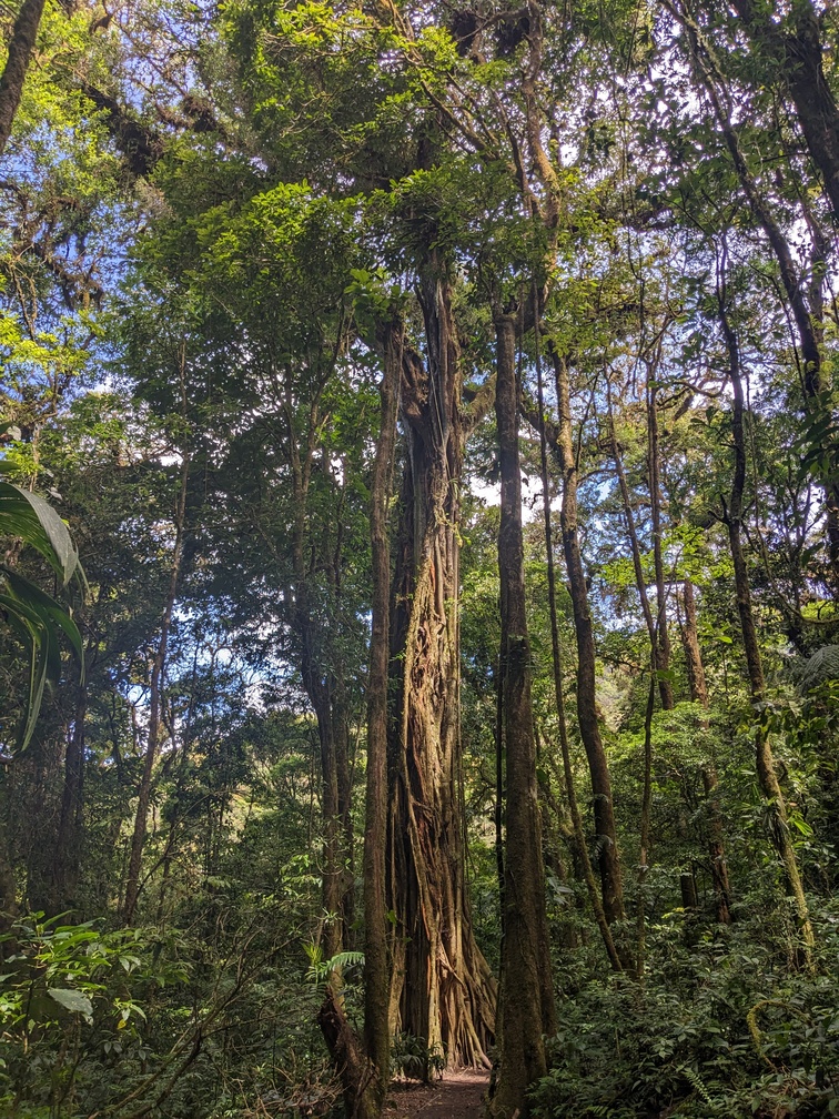 Parc Monteverde