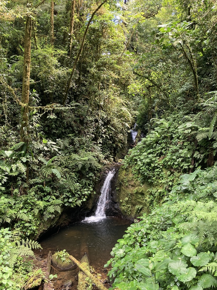 Parc Monteverde