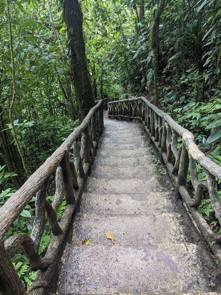 Parc national du Volcan Tenorio