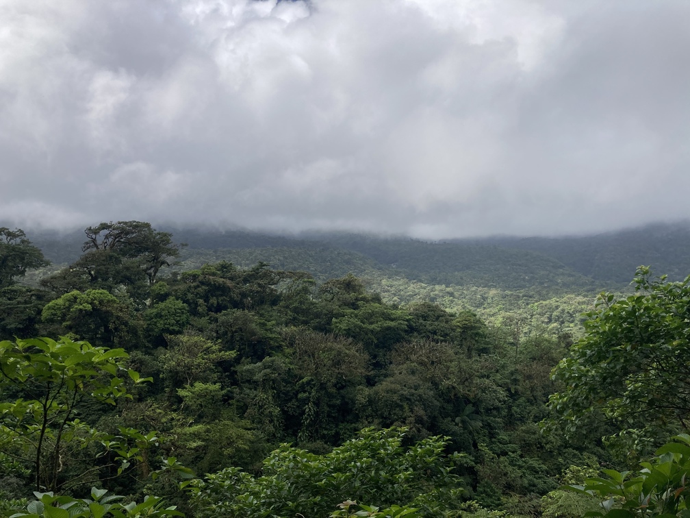 Parc national du Volcan Tenorio