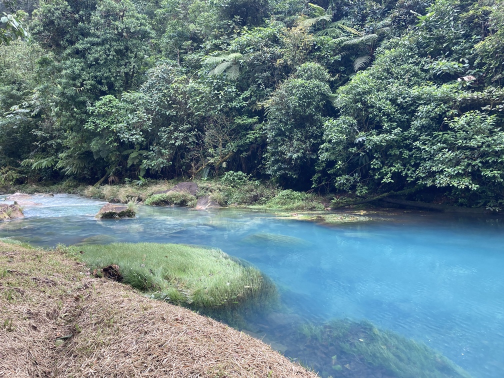 Parc national du Volcan Tenorio