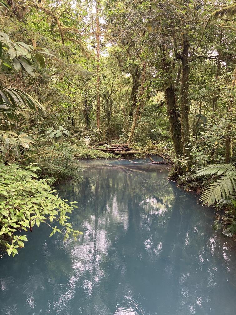 Parc national du Volcan Tenorio