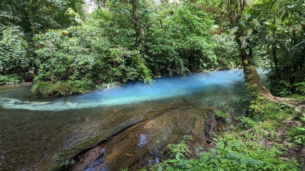 Parc national du Volcan Tenorio