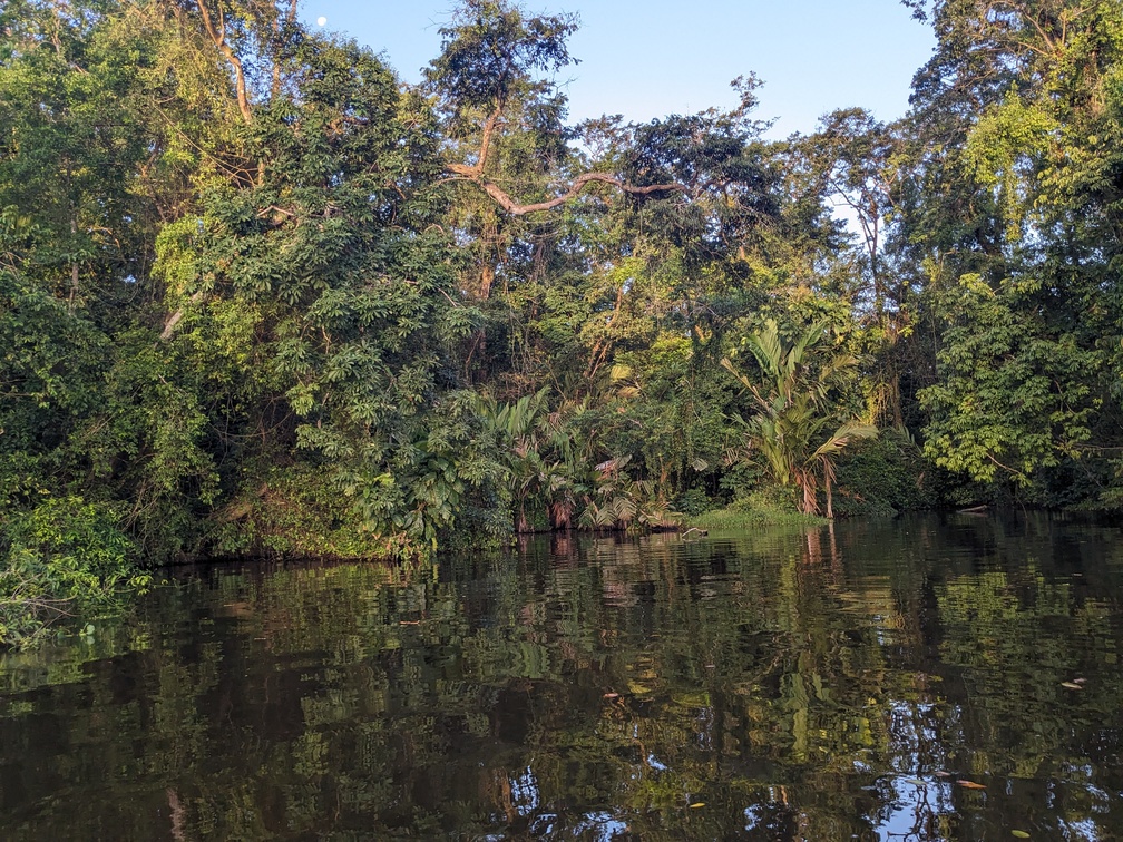 Le parc de Tortuguero au Costa Rica