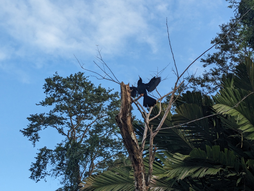 Le parc de Tortuguero au Costa Rica