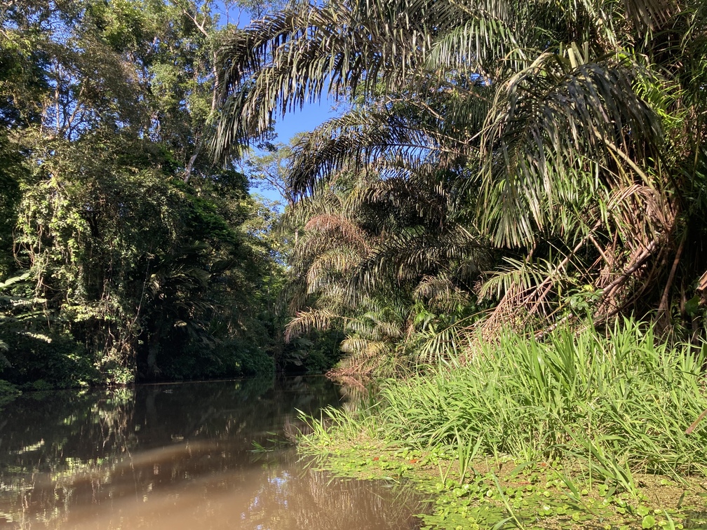 Le parc de Tortuguero au Costa Rica