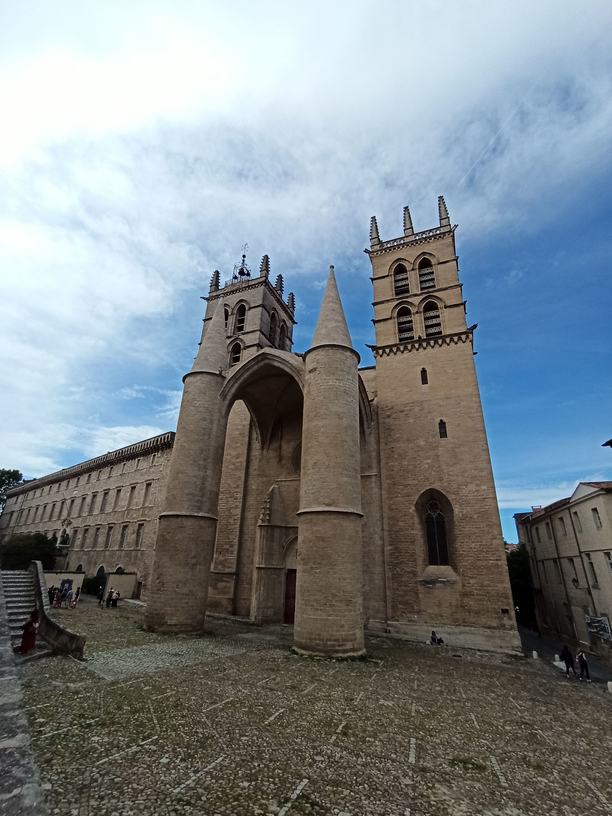 Cathédrale Saint-Pierre à Montpellier