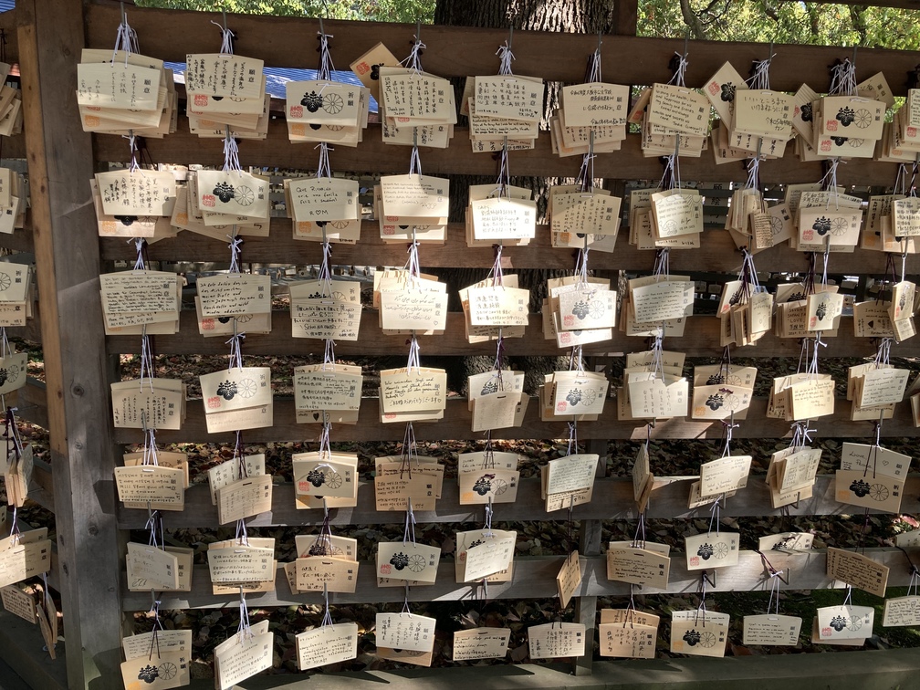 Sanctuaire Meiji Jingu à Tokyo au Japon