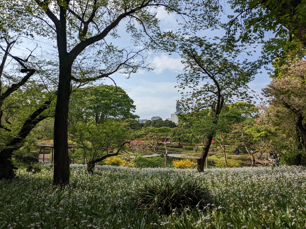 Jardins du palais impérial à Tokyo au Japon