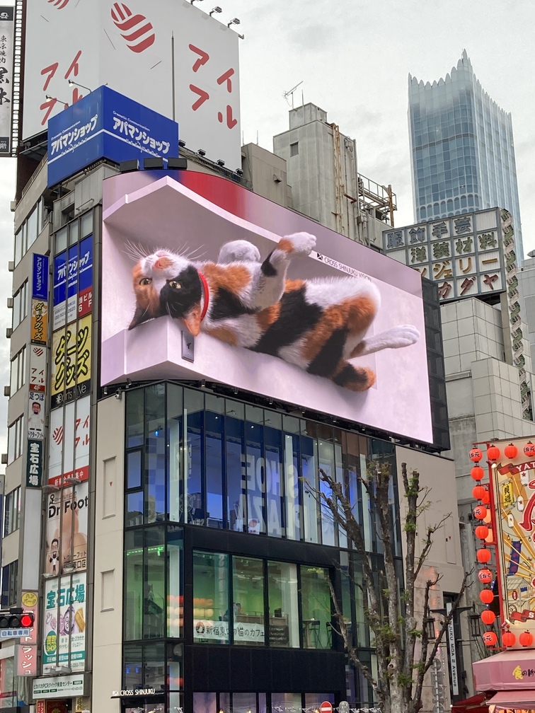 Le chat 3D de Tokyo au Japon