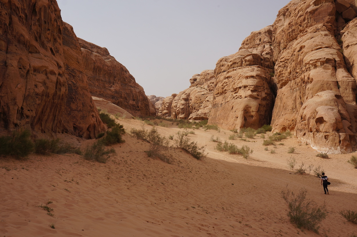 Wadi Rum en Jordanie