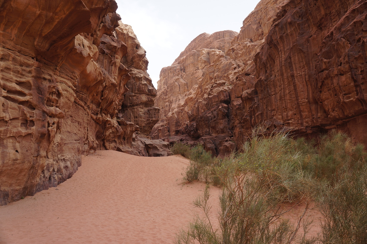 Wadi Rum en Jordanie