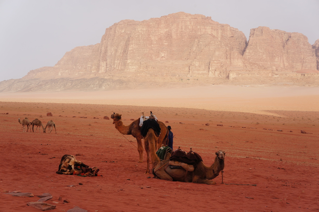 Campement dans le Wadi Rum en Jordanie