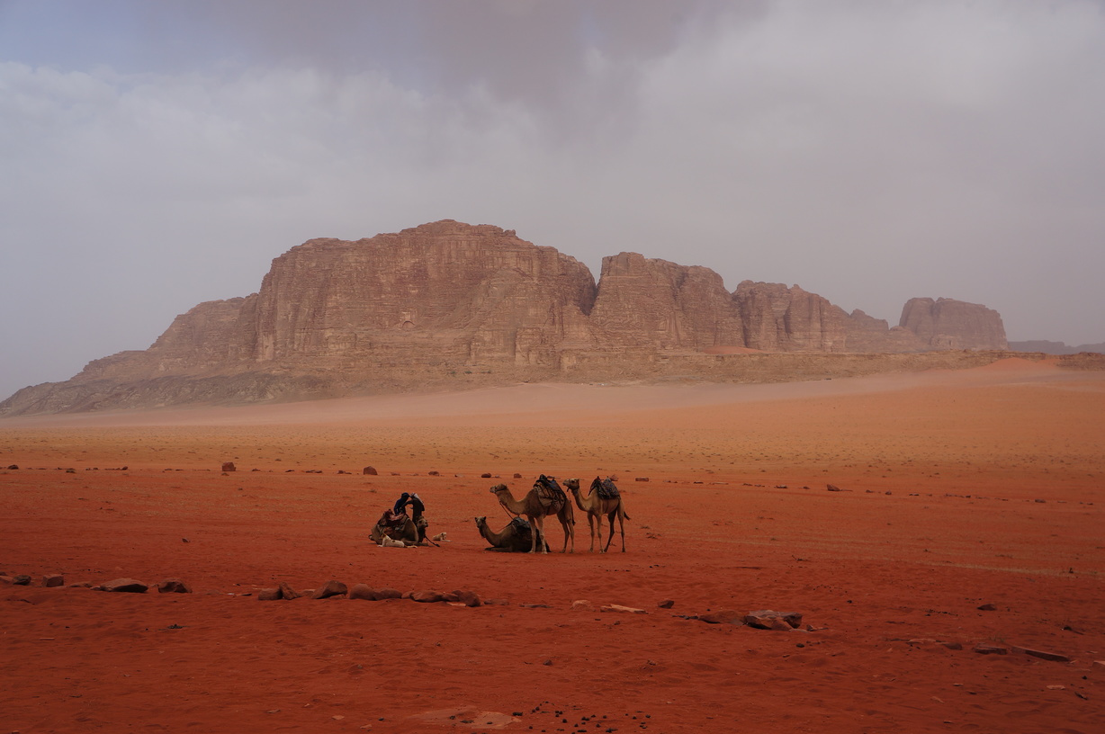 Campement dans le Wadi Rum en Jordanie