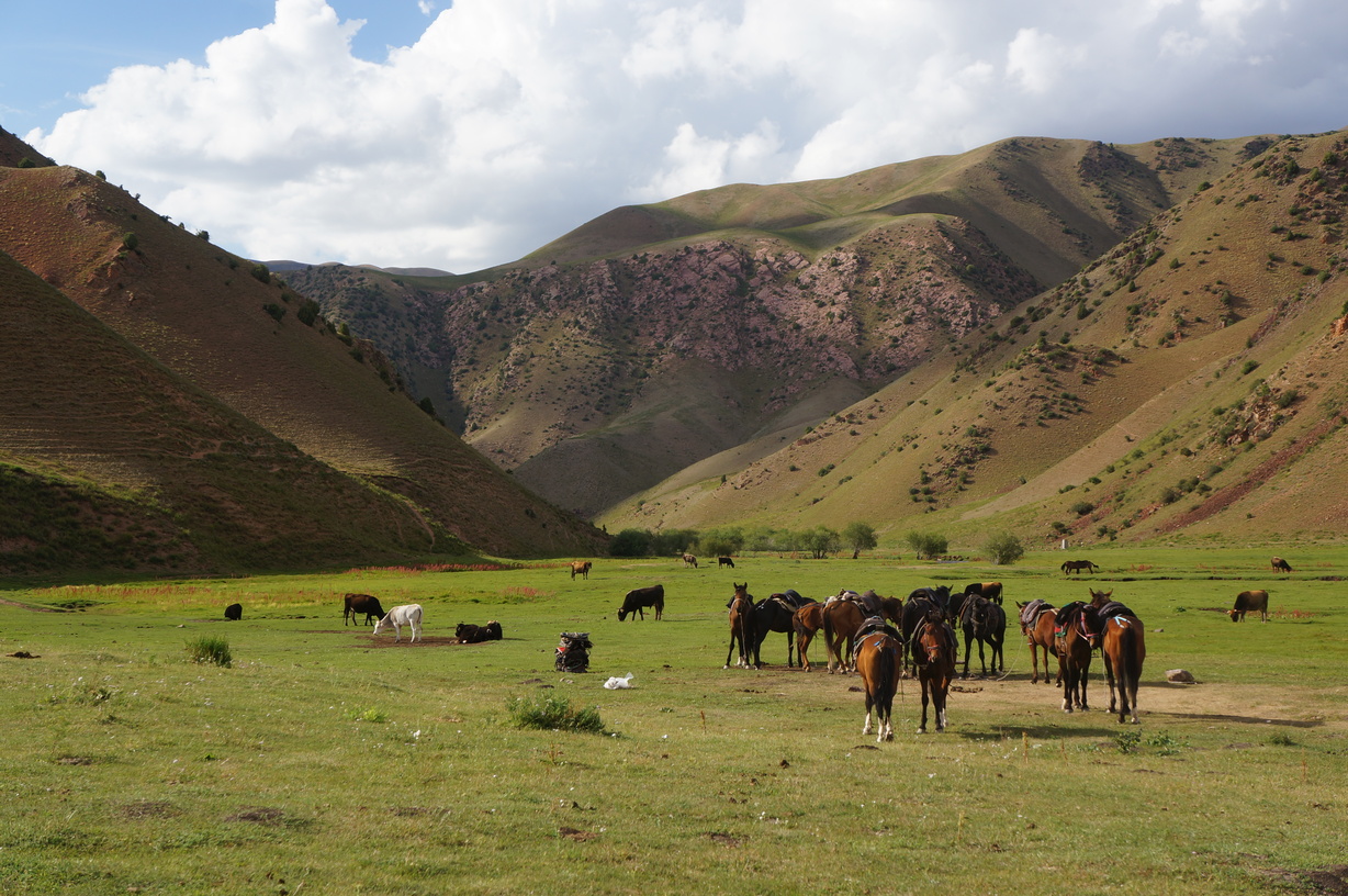 Premier campement sur la route du lac Song Kul