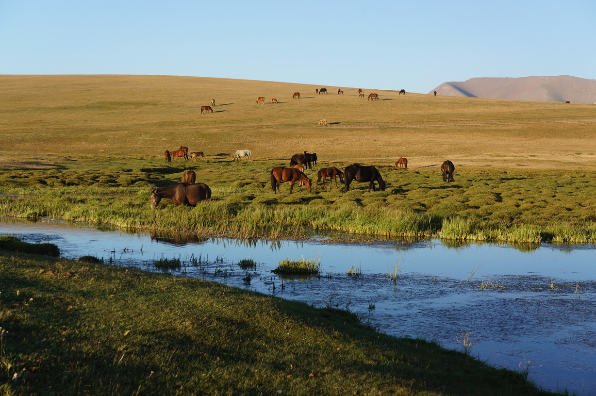 Lac Song Kul